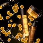 Caudalie Divine Body Collection