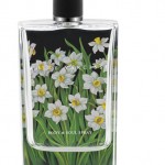 NEST-Narcisse-Body-Soul-Spray